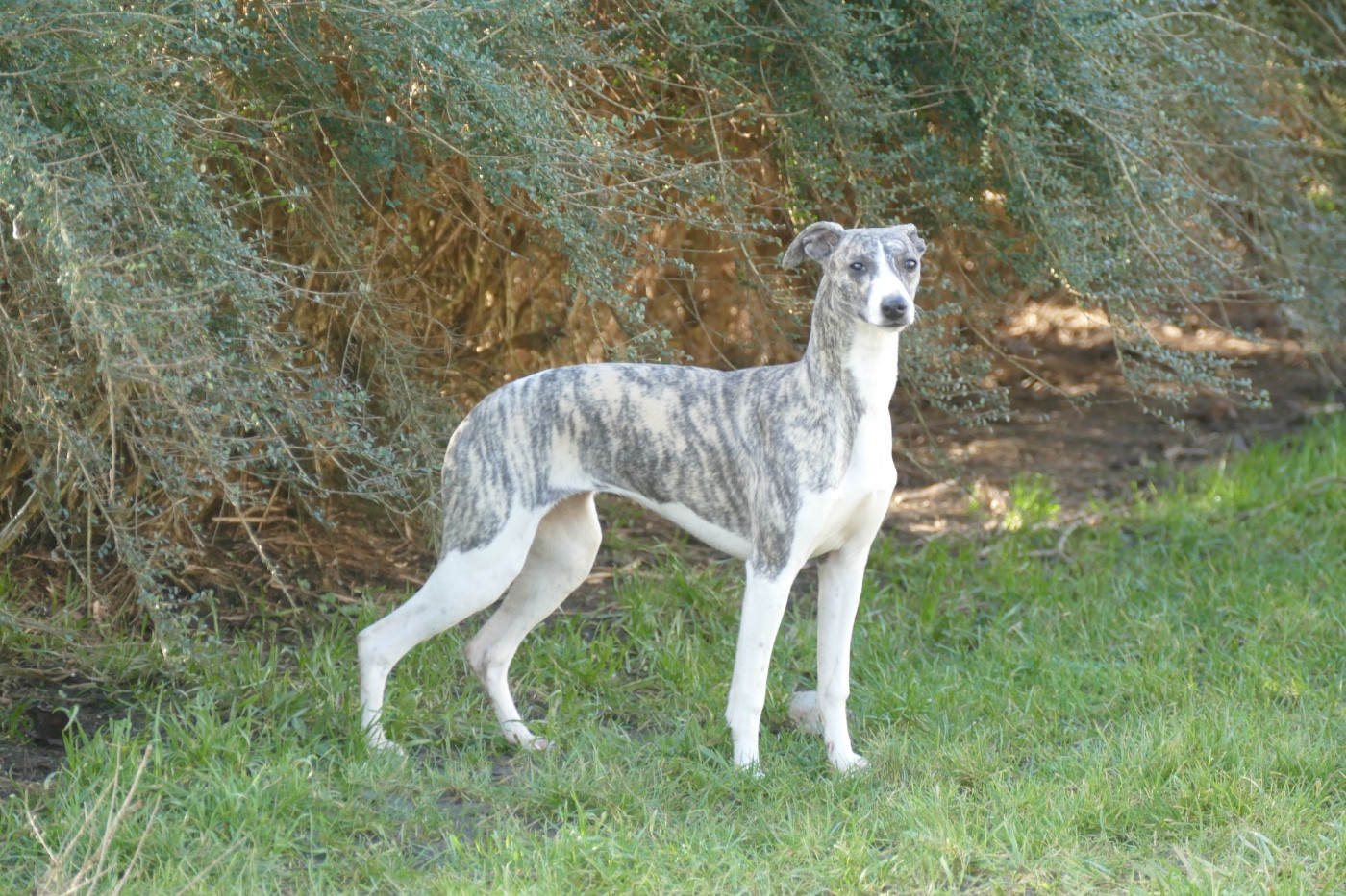 Action reaction Des Terres De Pag